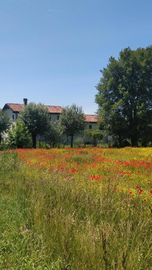 Porte Di Venezia, Tessera Aeroporto Hotel ฟาวาโร เวเนโต ภายนอก รูปภาพ